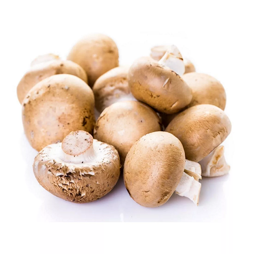 US MUSHROOM BABY BELLA 12/8 OZ Horizons Supplies