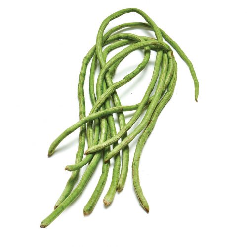 US BEAN CHINESE LONG 10 LB CS Horizons Supplies   Long Bean 500x500 