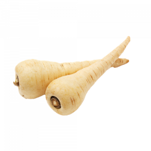 US PARSNIP 20 LB/BULK – Horizons Supplies